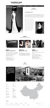 网站与网页设计 构建数字世界的艺术与科学